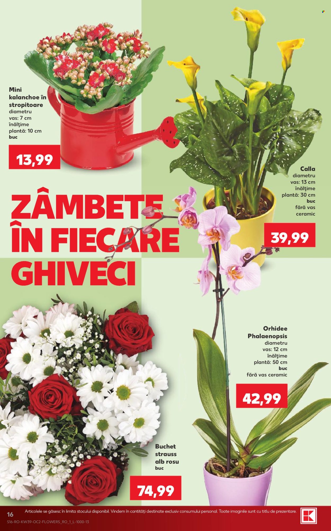 Catalog Kaufland - 23.09.2026 - 29.09.2026. Pagina 16