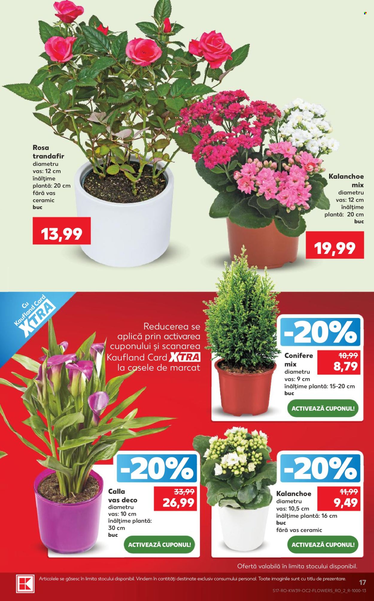 Catalog Kaufland - 23.09.2026 - 29.09.2026. Pagina 17
