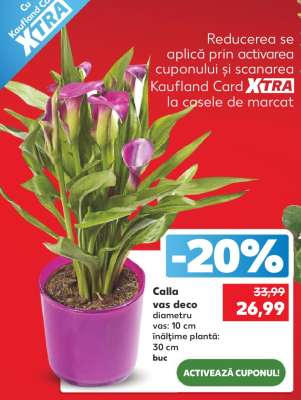 Calla