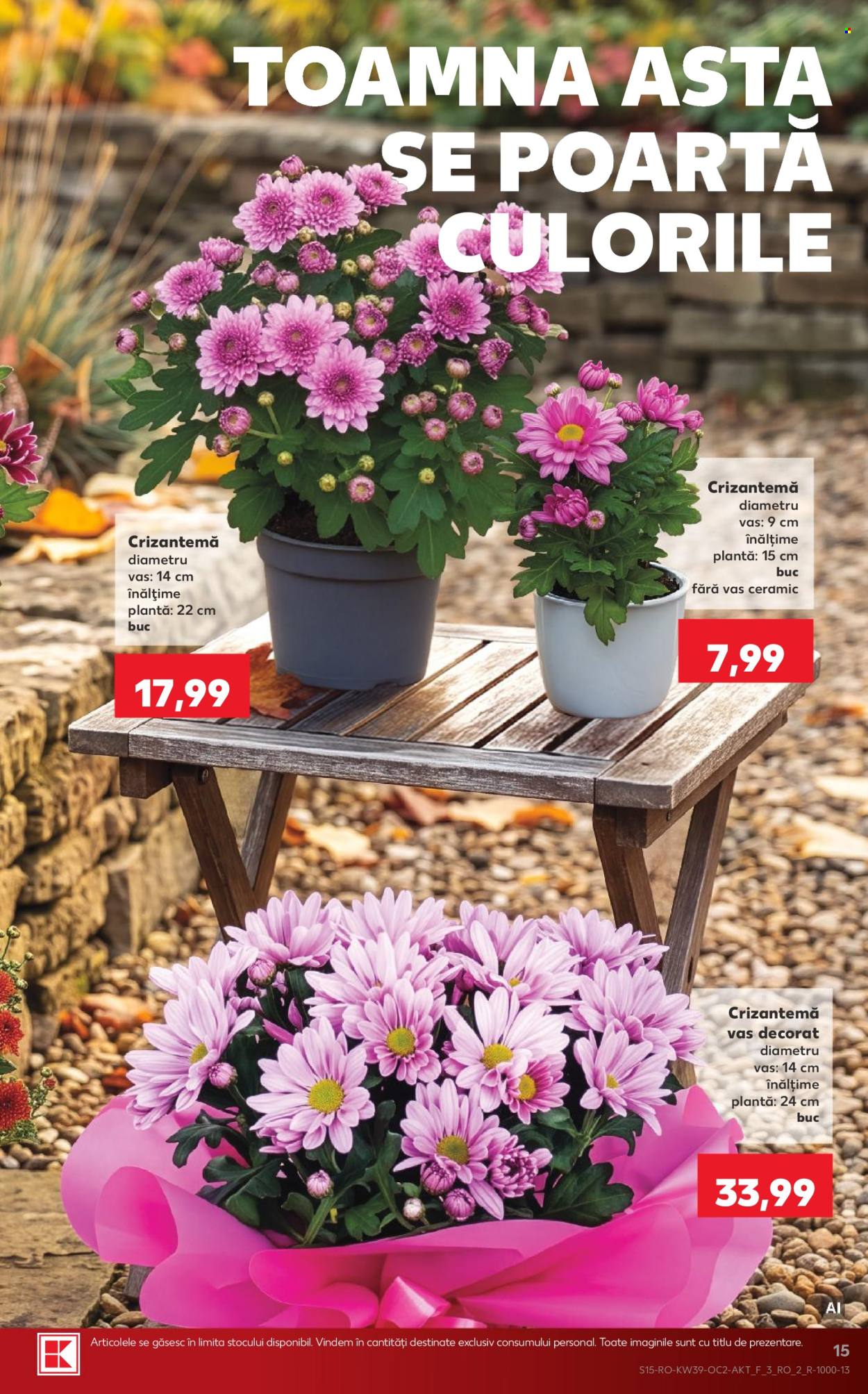 Catalog Kaufland - 23.09.2026 - 29.09.2026. Pagina 15