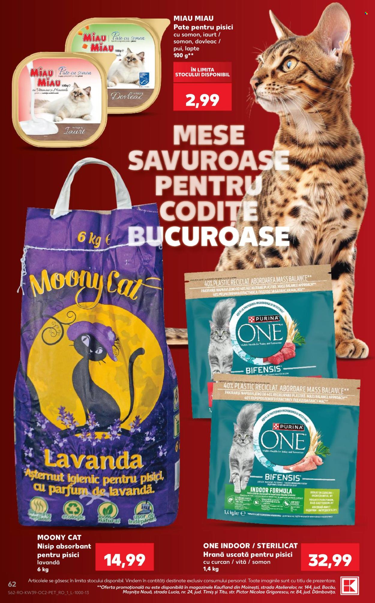 Catalog Kaufland - 23.09.2026 - 29.09.2026. Pagina 62