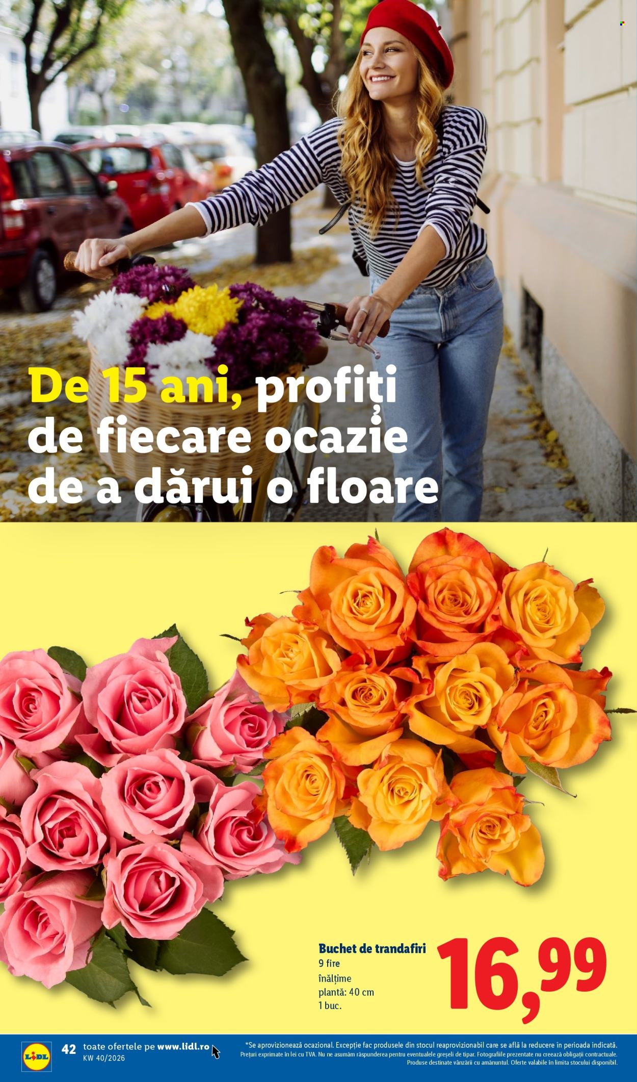 Catalog Lidl - 28.09.2026 - 04.10.2026. Pagina 42