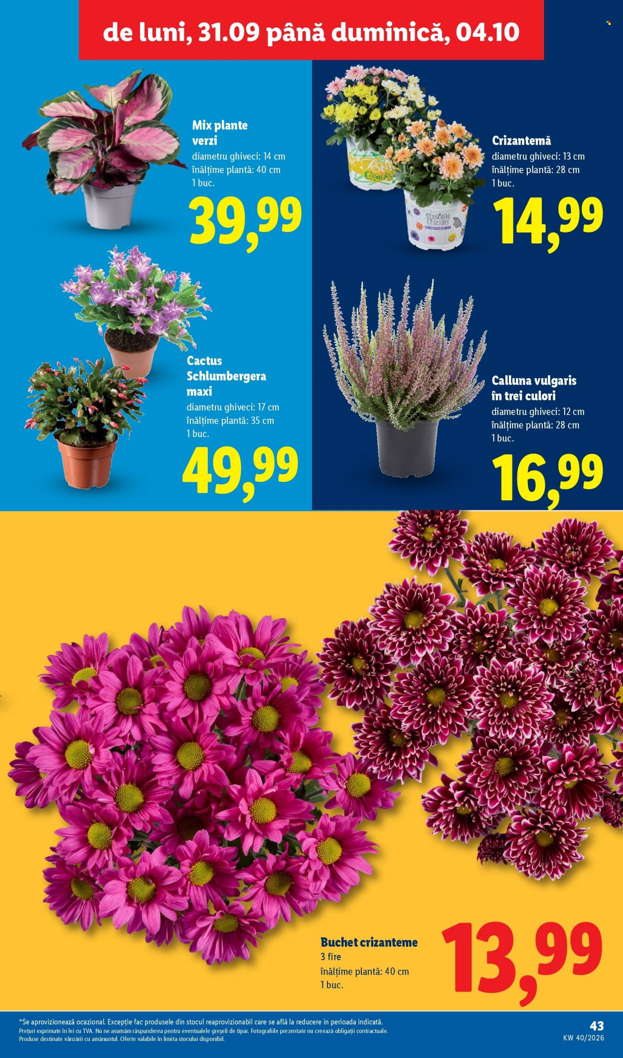 Catalog Lidl - 28.09.2026 - 04.10.2026. Pagina 43