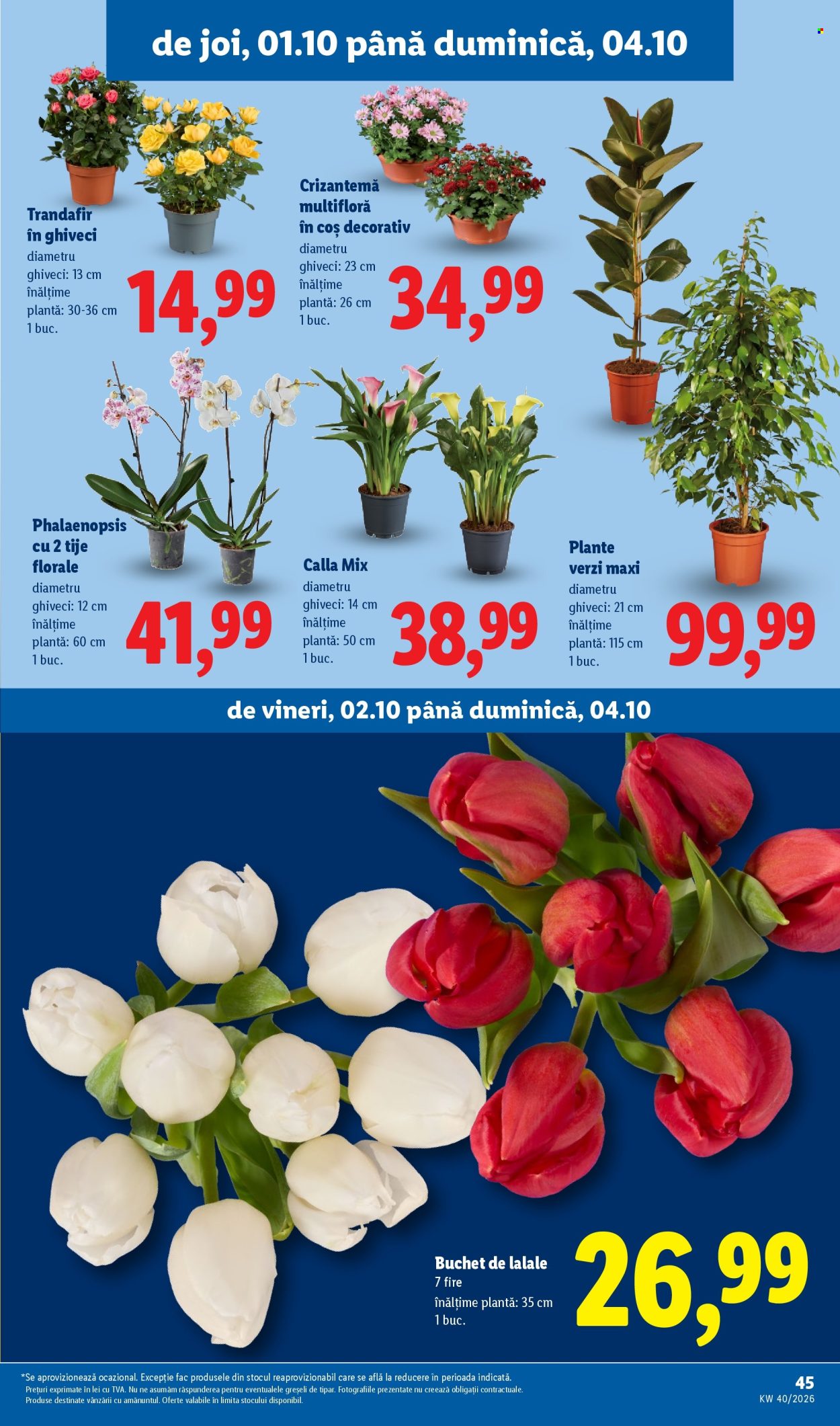 Catalog Lidl - 28.09.2026 - 04.10.2026. Pagina 45