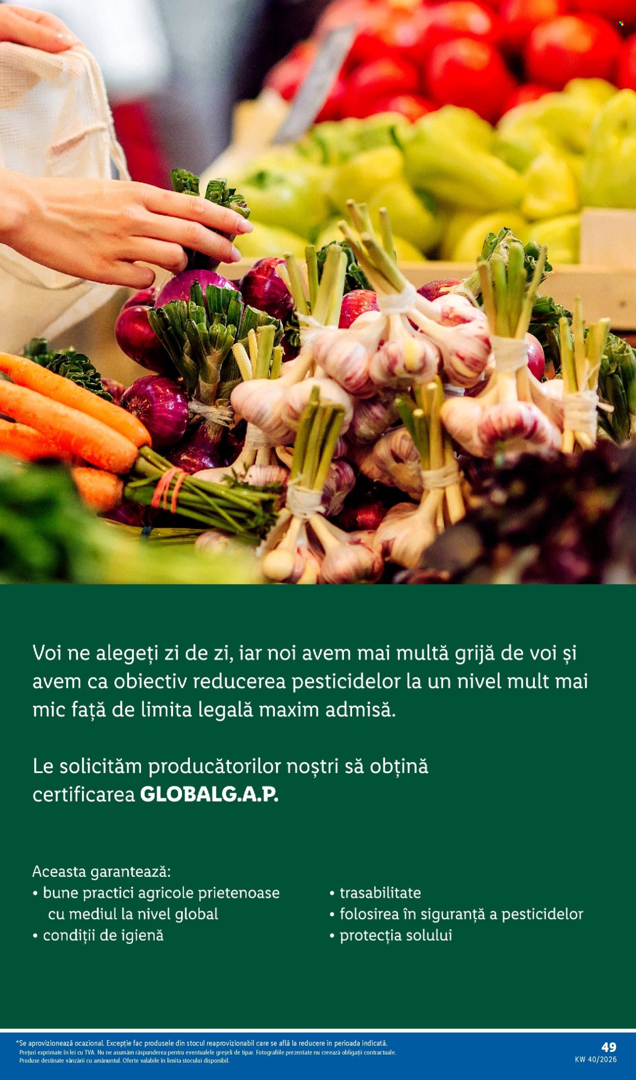Catalog Lidl - 28.09.2026 - 04.10.2026. Pagina 49