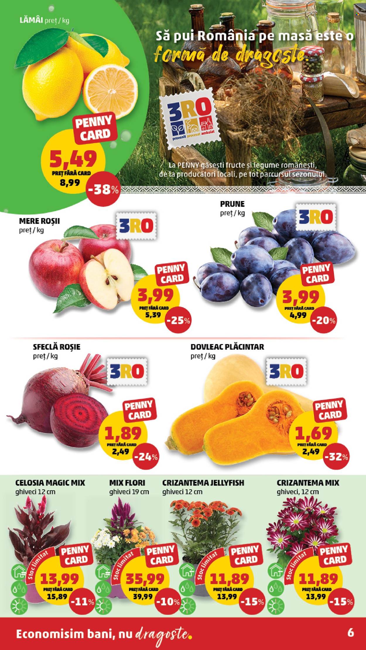 Catalog PENNY - 23.09.2026 - 29.09.2026. Pagina 6