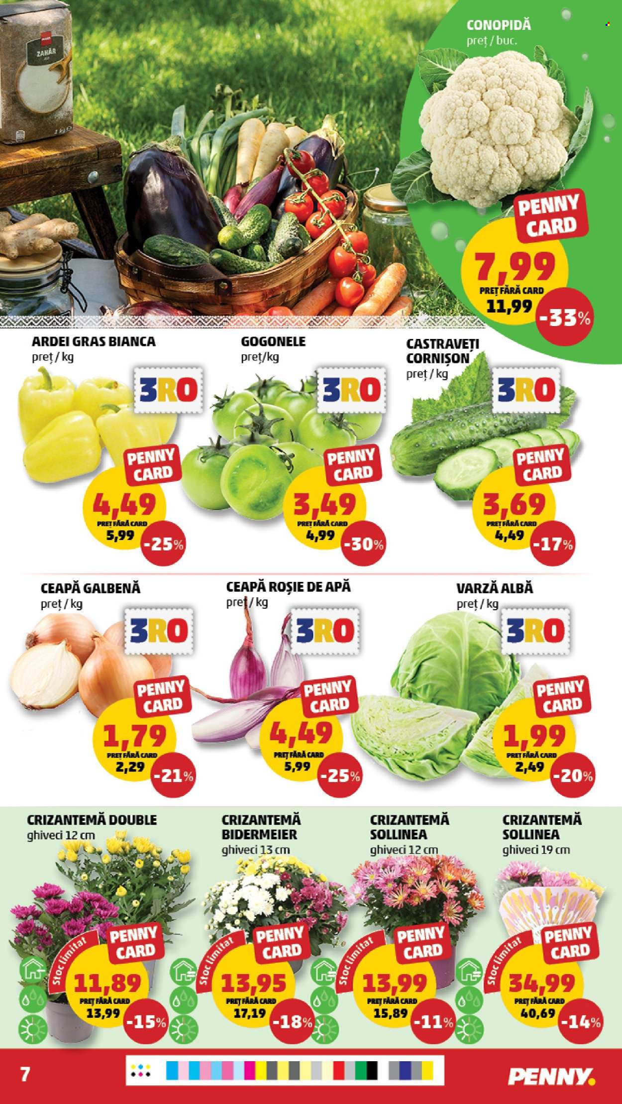 Catalog PENNY - 23.09.2026 - 29.09.2026. Pagina 7