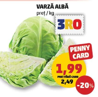 Varză albă
