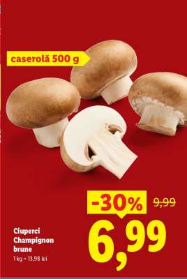 Ciuperci Champignon brune