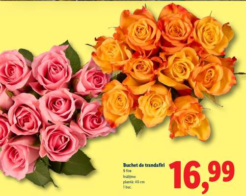 Buchet de trandafiri