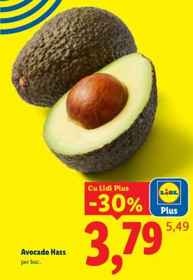 Avocado Hass