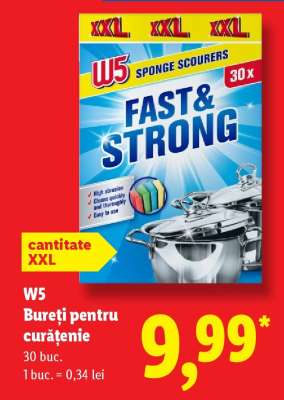 W5 Bureți pentru curățenie