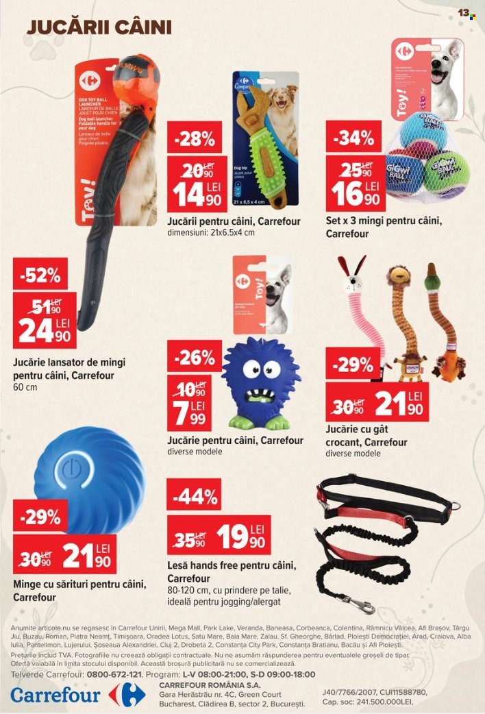 Catalog Carrefour - 23.09.2026 - 06.10.2026. Pagina 13