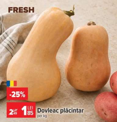 Dovleac plăcintar