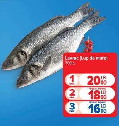Lavrac (lup de mare)