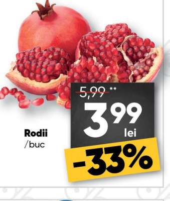 Rodii