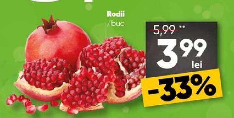 Rodii