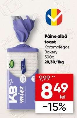 Pâine albă toast