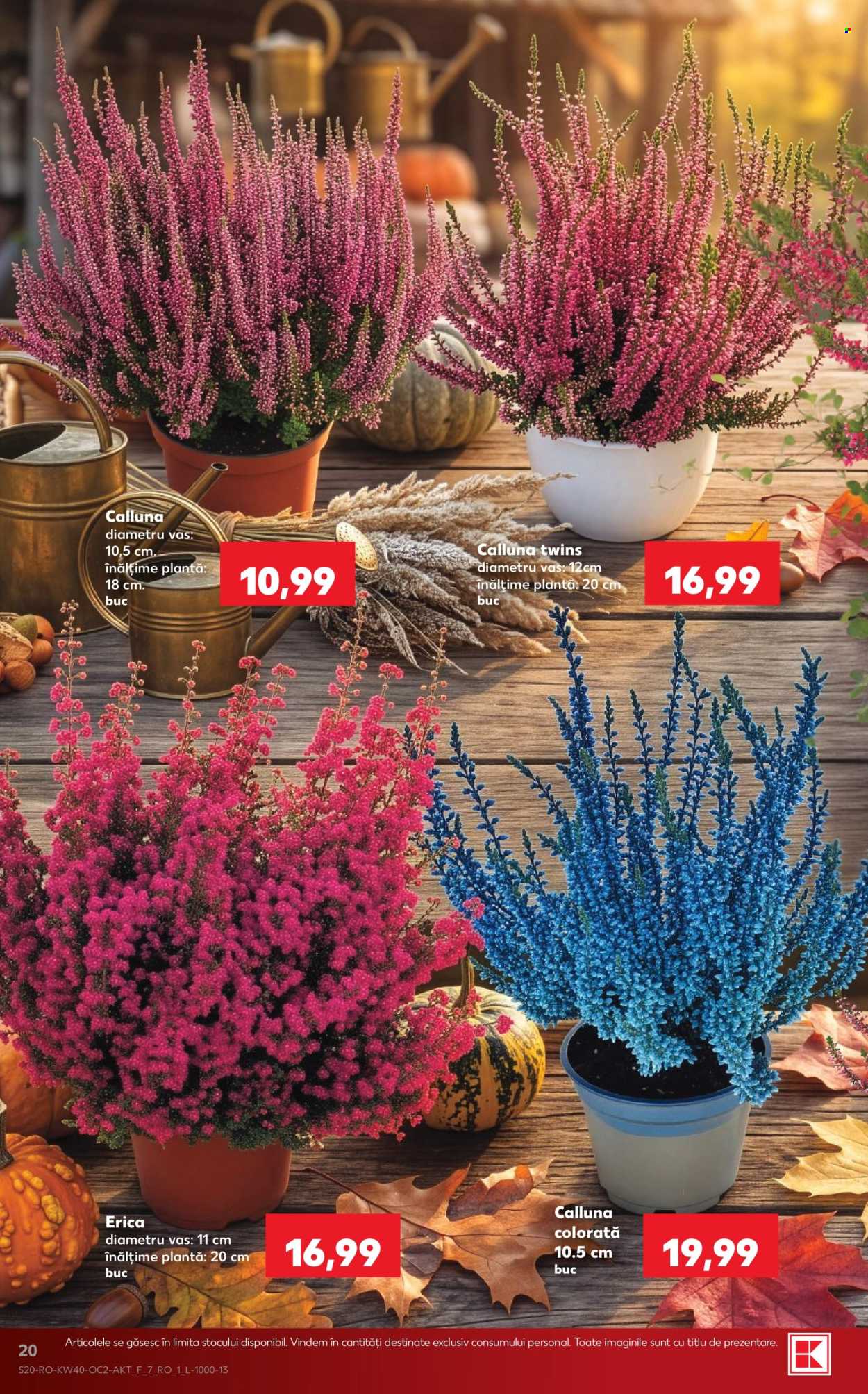 Catalog Kaufland - 30.09.2026 - 06.10.2026. Pagina 20