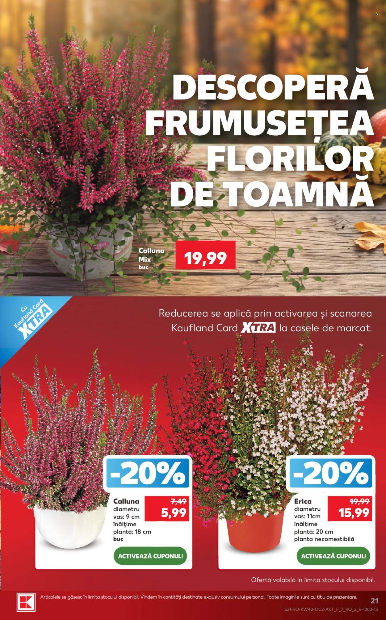 Catalog Kaufland - 30.09.2026 - 06.10.2026. Pagina 21