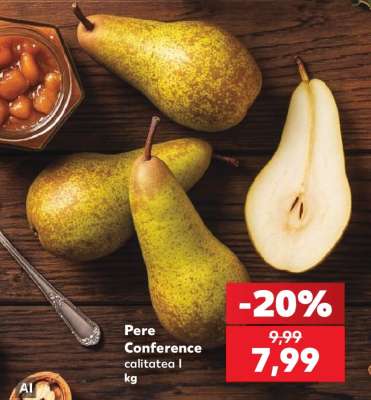 Pere Conference