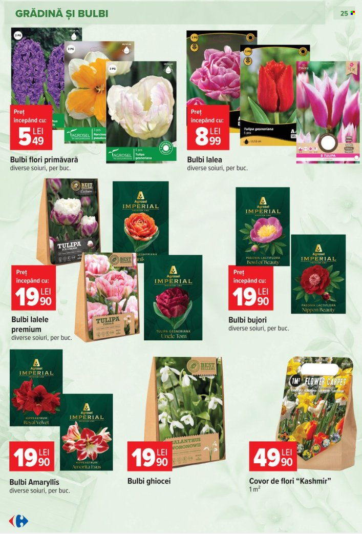 Catalog Carrefour - 23.09.2026 - 27.10.2026. Pagina 25