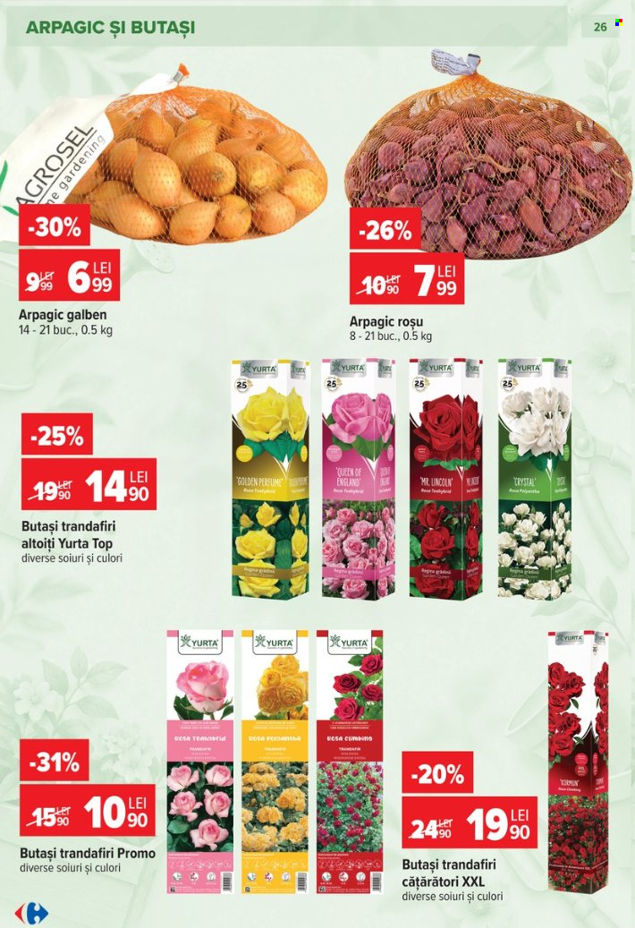 Catalog Carrefour - 23.09.2026 - 27.10.2026. Pagina 26
