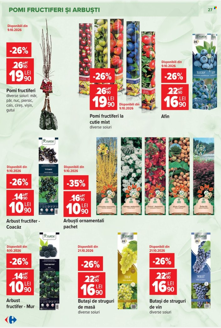 Catalog Carrefour - 23.09.2026 - 27.10.2026. Pagina 27