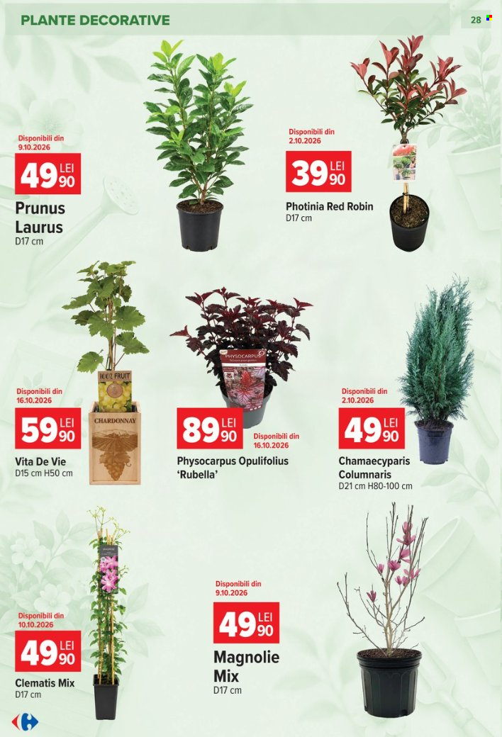 Catalog Carrefour - 23.09.2026 - 27.10.2026. Pagina 28