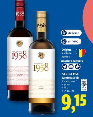 SARICA 1958 Miniștilele vin