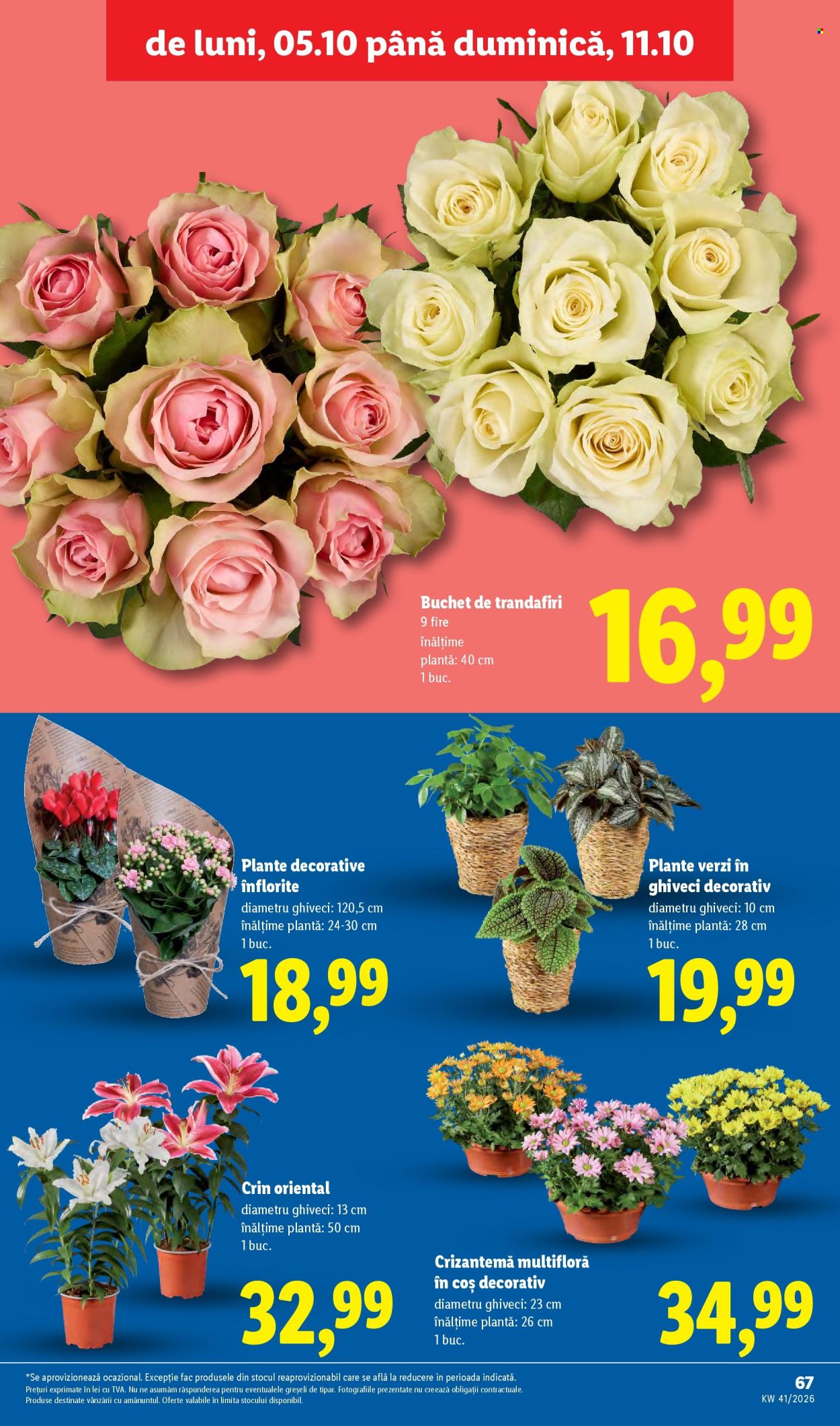 Catalog Lidl - 05.10.2026 - 11.10.2026. Pagina 67