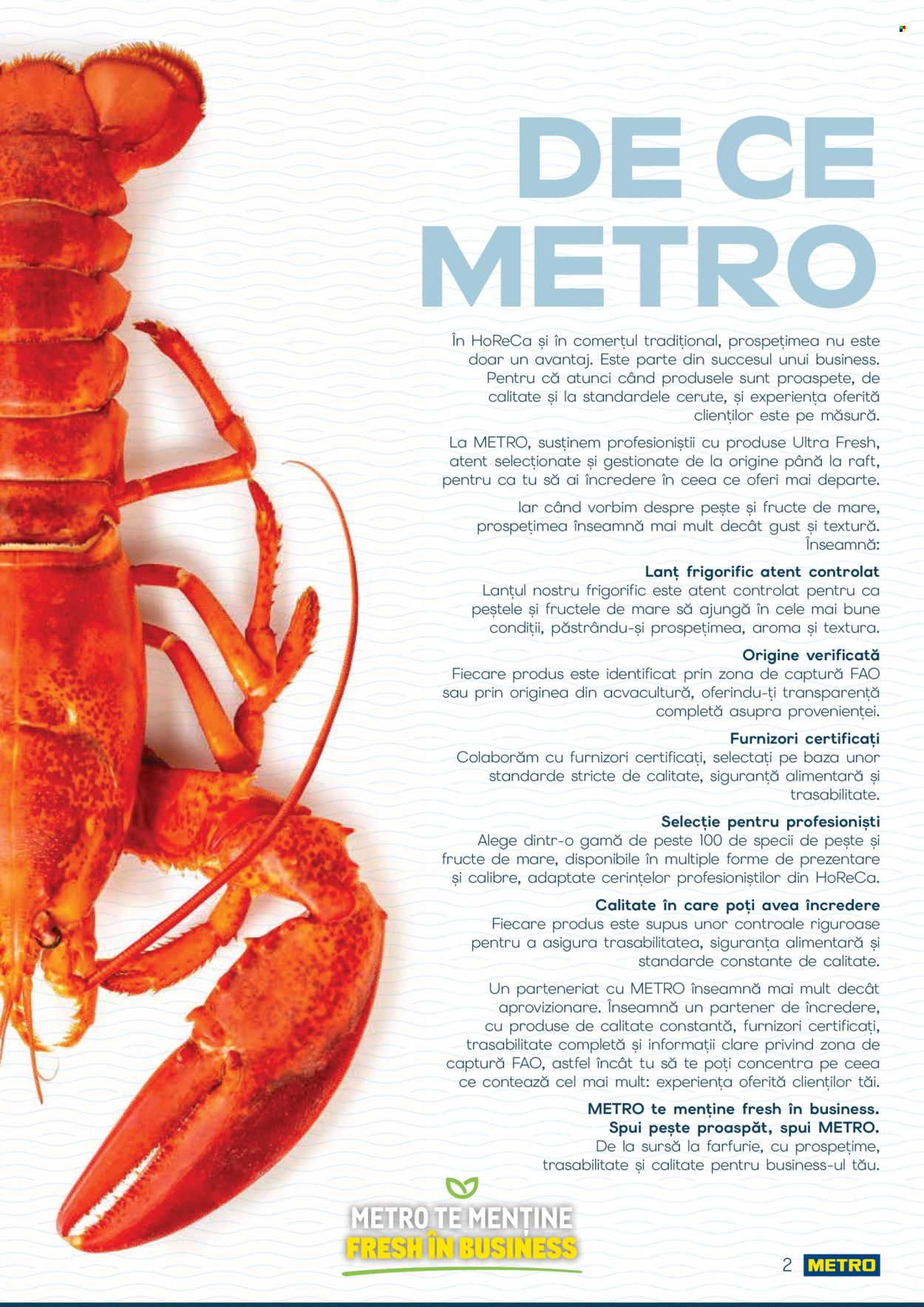 Catalog Metro - 01.10.2026 - 31.12.2026. Pagina 2