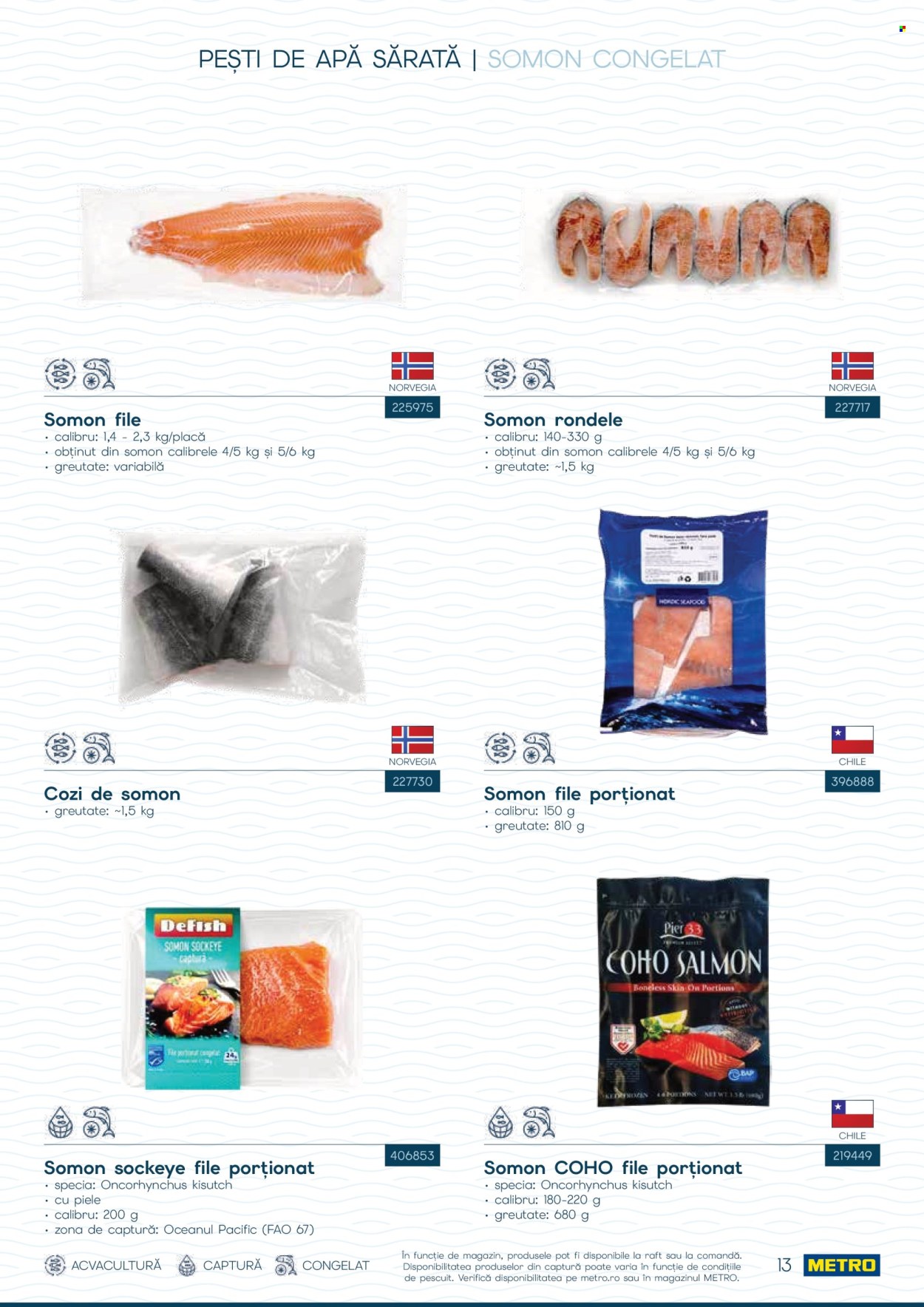 Catalog Metro - 01.10.2026 - 31.12.2026. Pagina 13
