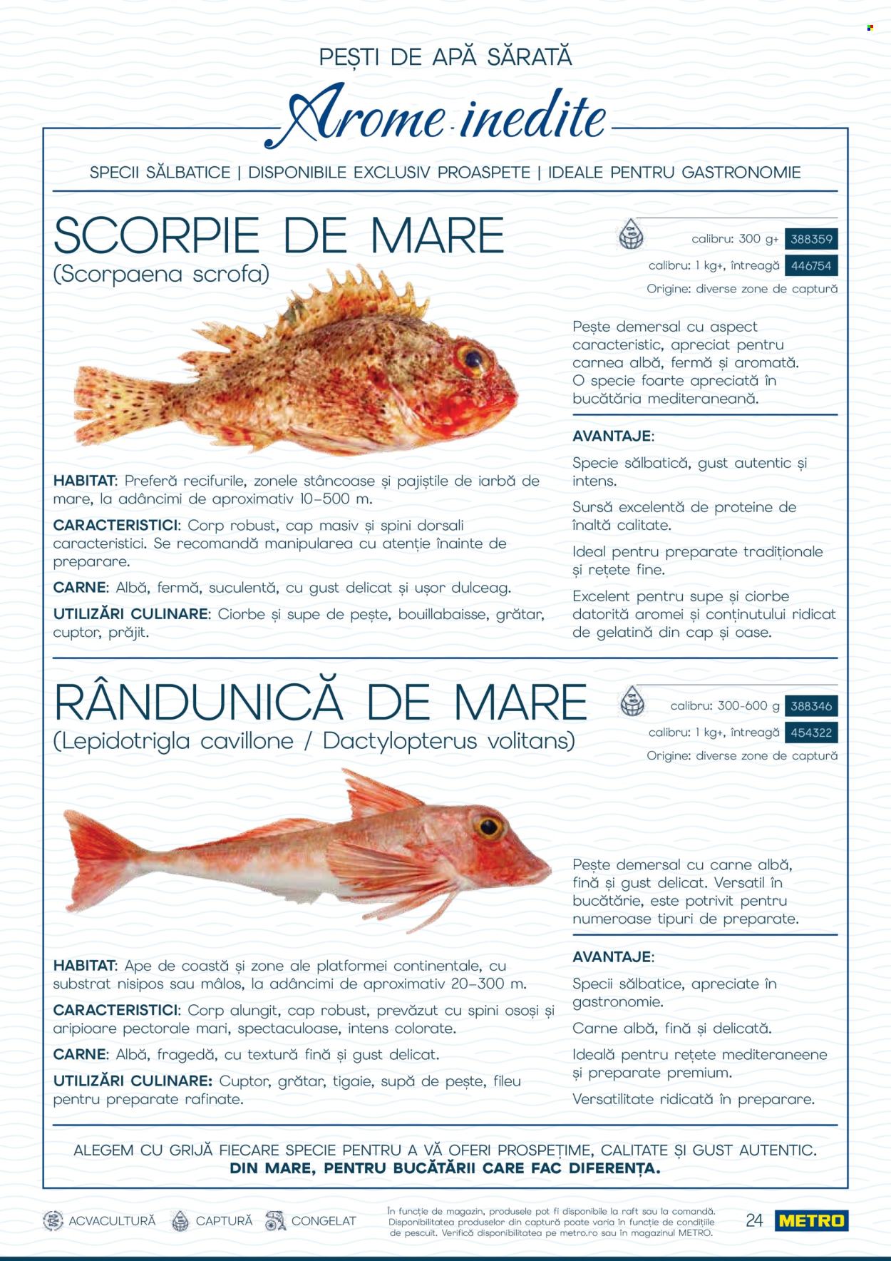 Catalog Metro - 01.10.2026 - 31.12.2026. Pagina 24