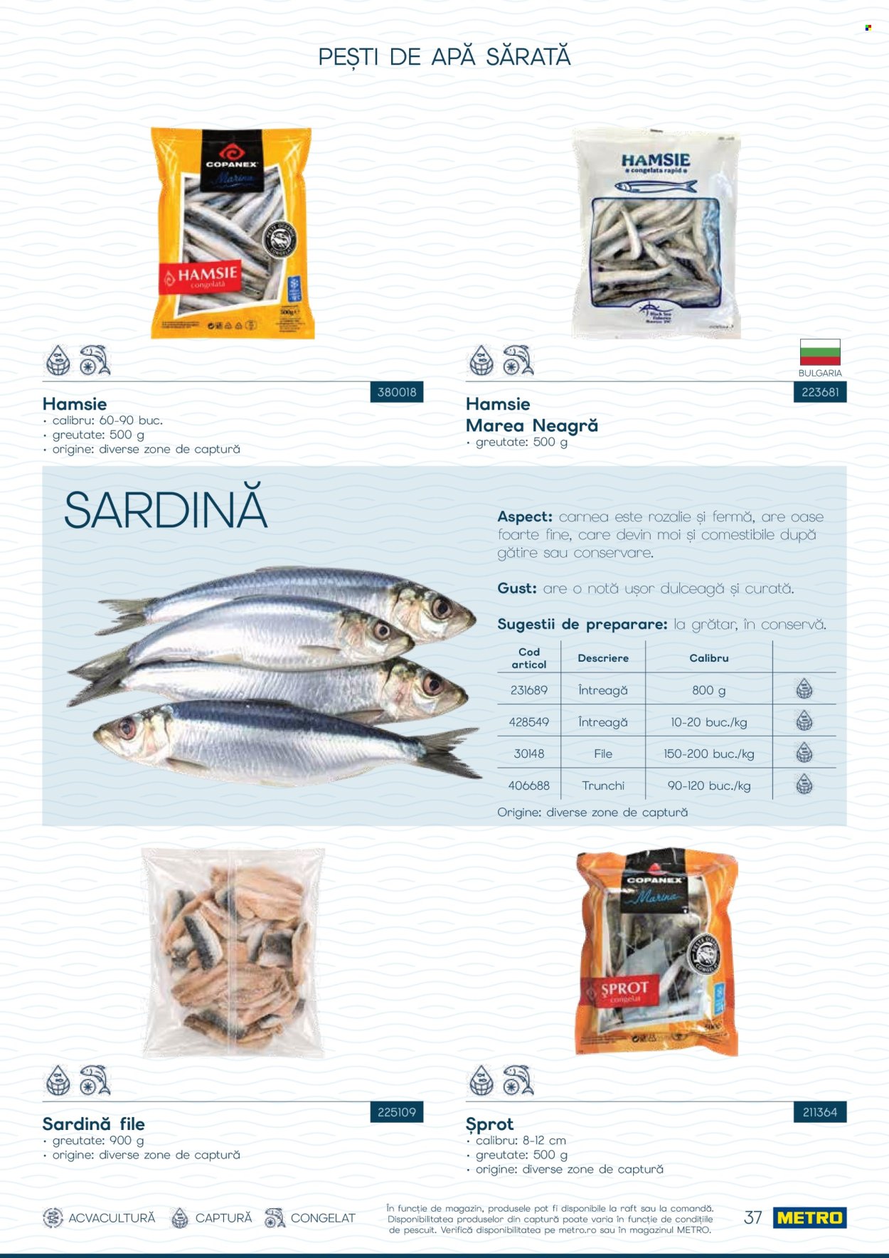 Catalog Metro - 01.10.2026 - 31.12.2026. Pagina 37
