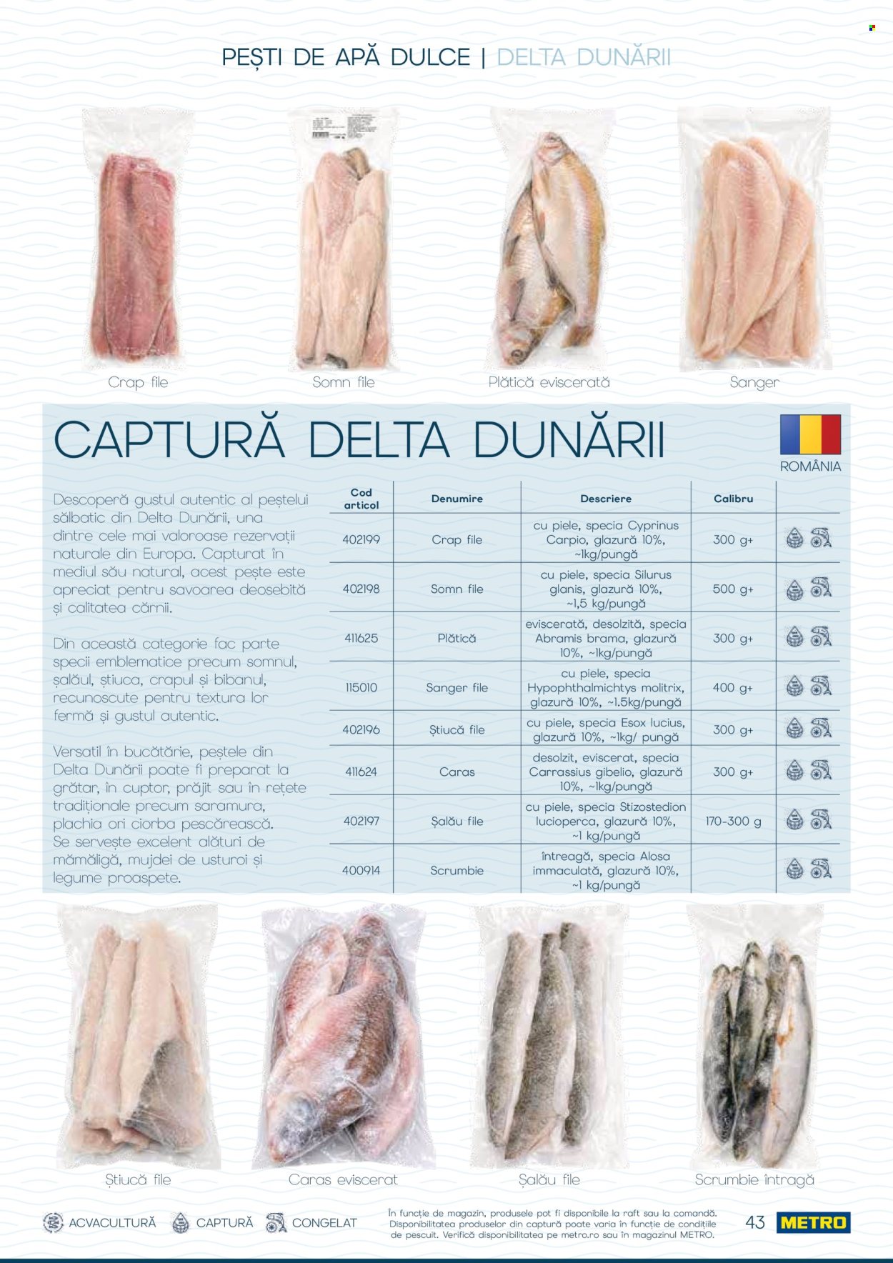 Catalog Metro - 01.10.2026 - 31.12.2026. Pagina 43