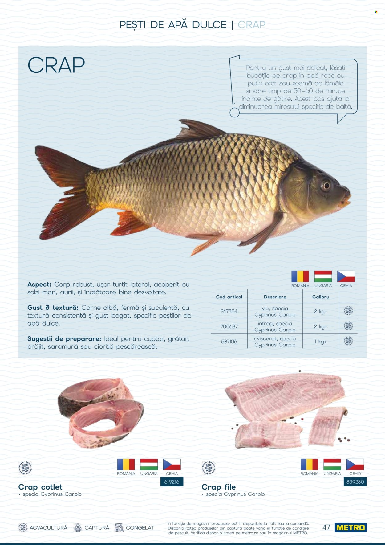 Catalog Metro - 01.10.2026 - 31.12.2026. Pagina 47