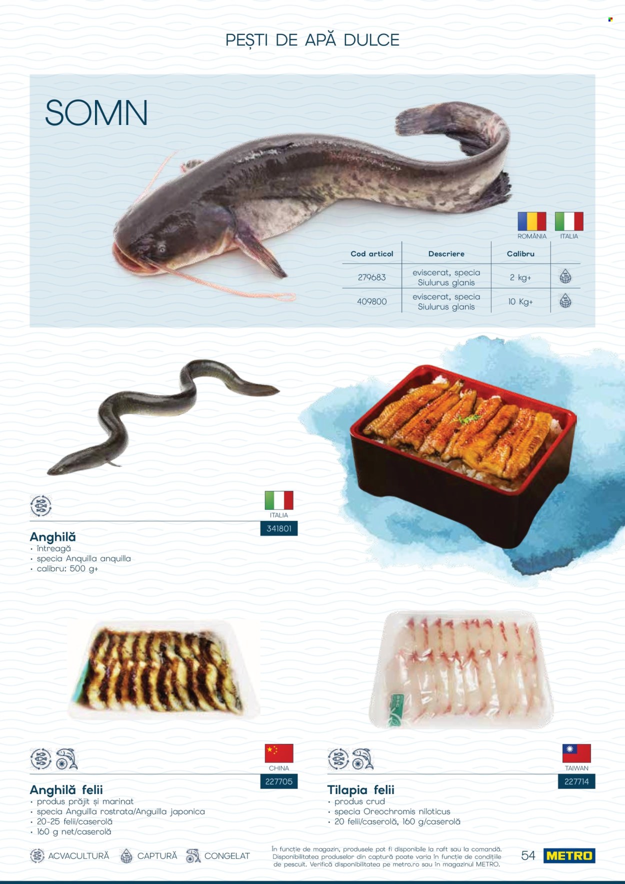Catalog Metro - 01.10.2026 - 31.12.2026. Pagina 54