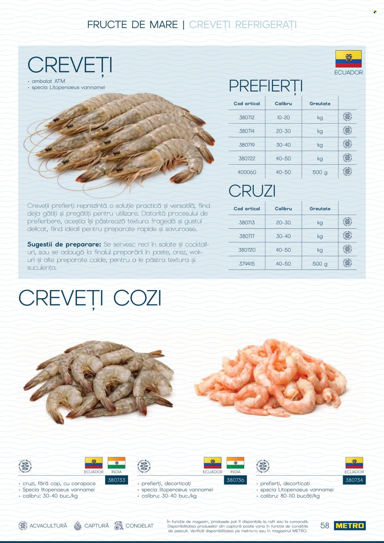 Catalog Metro - 01.10.2026 - 31.12.2026. Pagina 58