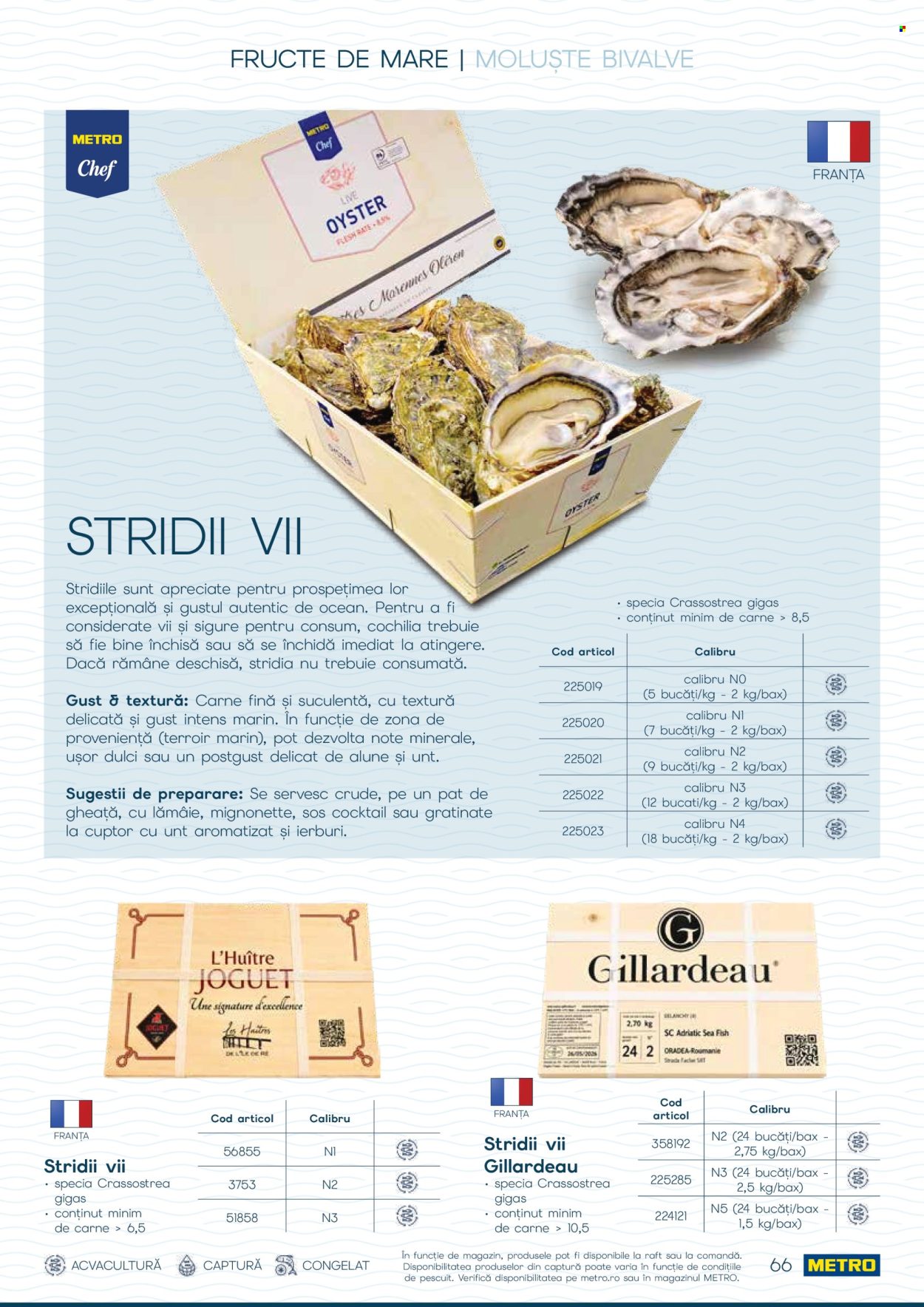 Catalog Metro - 01.10.2026 - 31.12.2026. Pagina 66