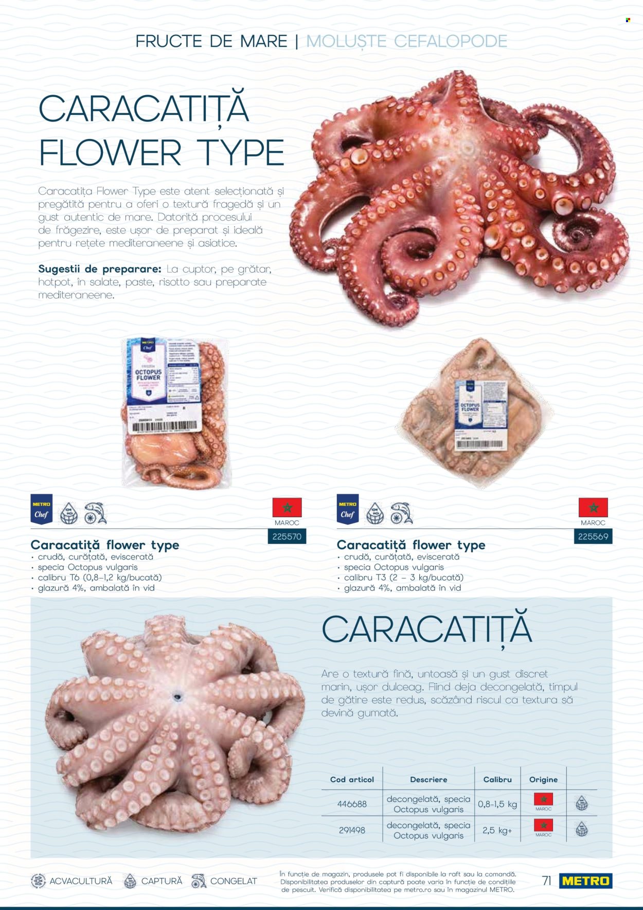 Catalog Metro - 01.10.2026 - 31.12.2026. Pagina 71