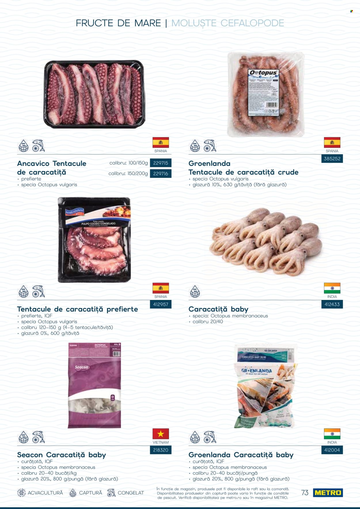 Catalog Metro - 01.10.2026 - 31.12.2026. Pagina 73