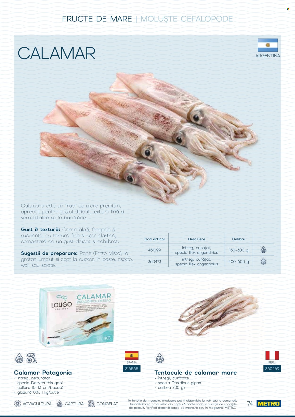 Catalog Metro - 01.10.2026 - 31.12.2026. Pagina 74