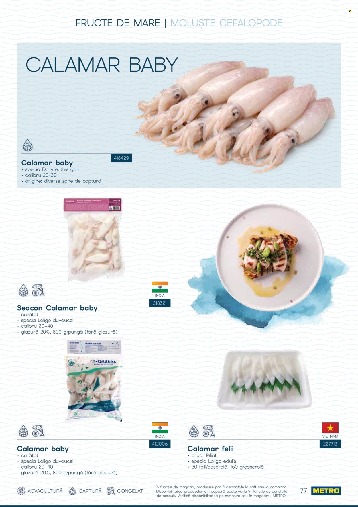 Catalog Metro - 01.10.2026 - 31.12.2026. Pagina 77