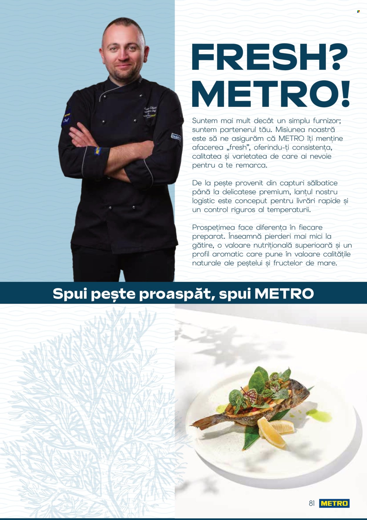 Catalog Metro - 01.10.2026 - 31.12.2026. Pagina 81