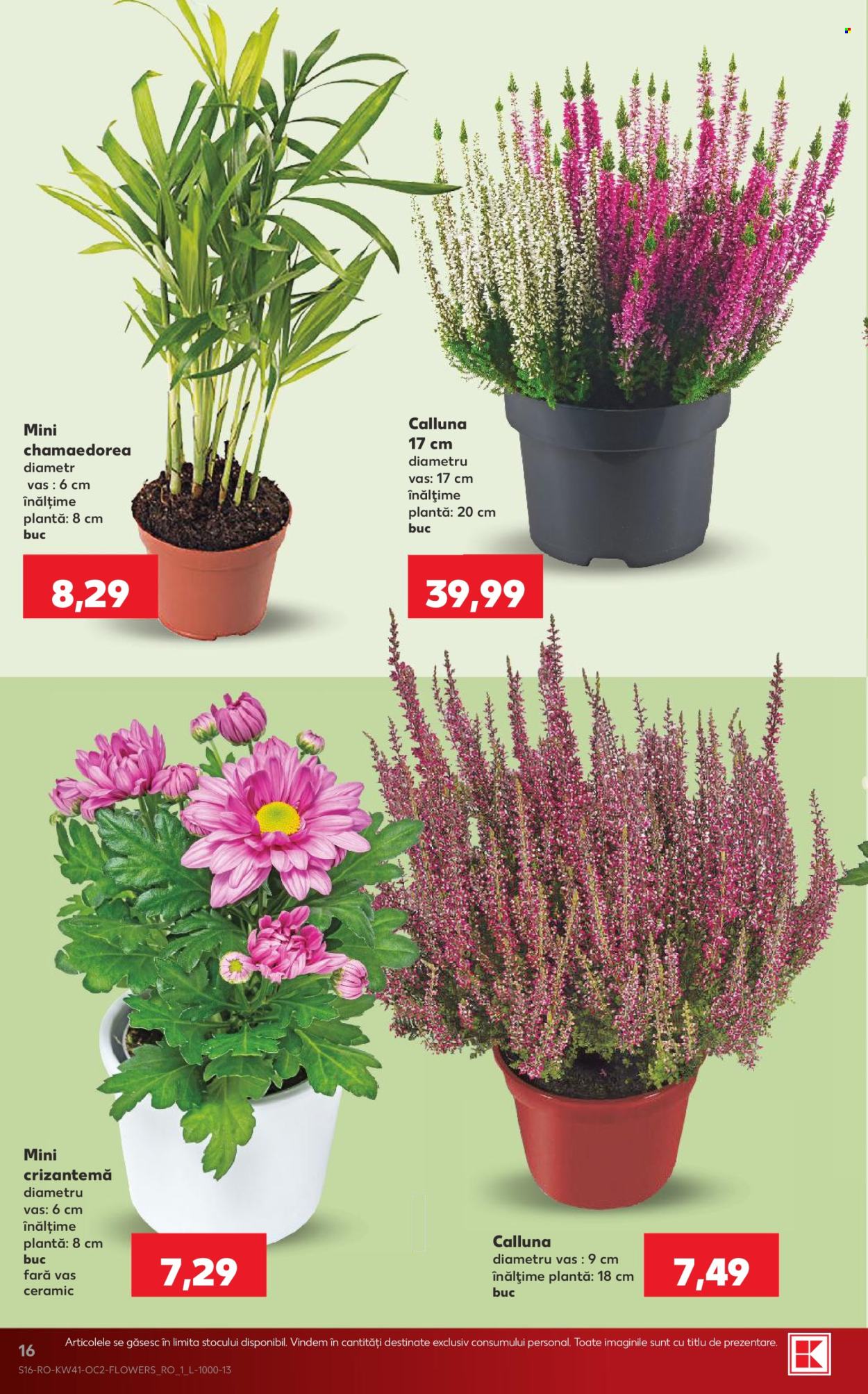 Catalog Kaufland - 07.10.2026 - 13.10.2026. Pagina 16