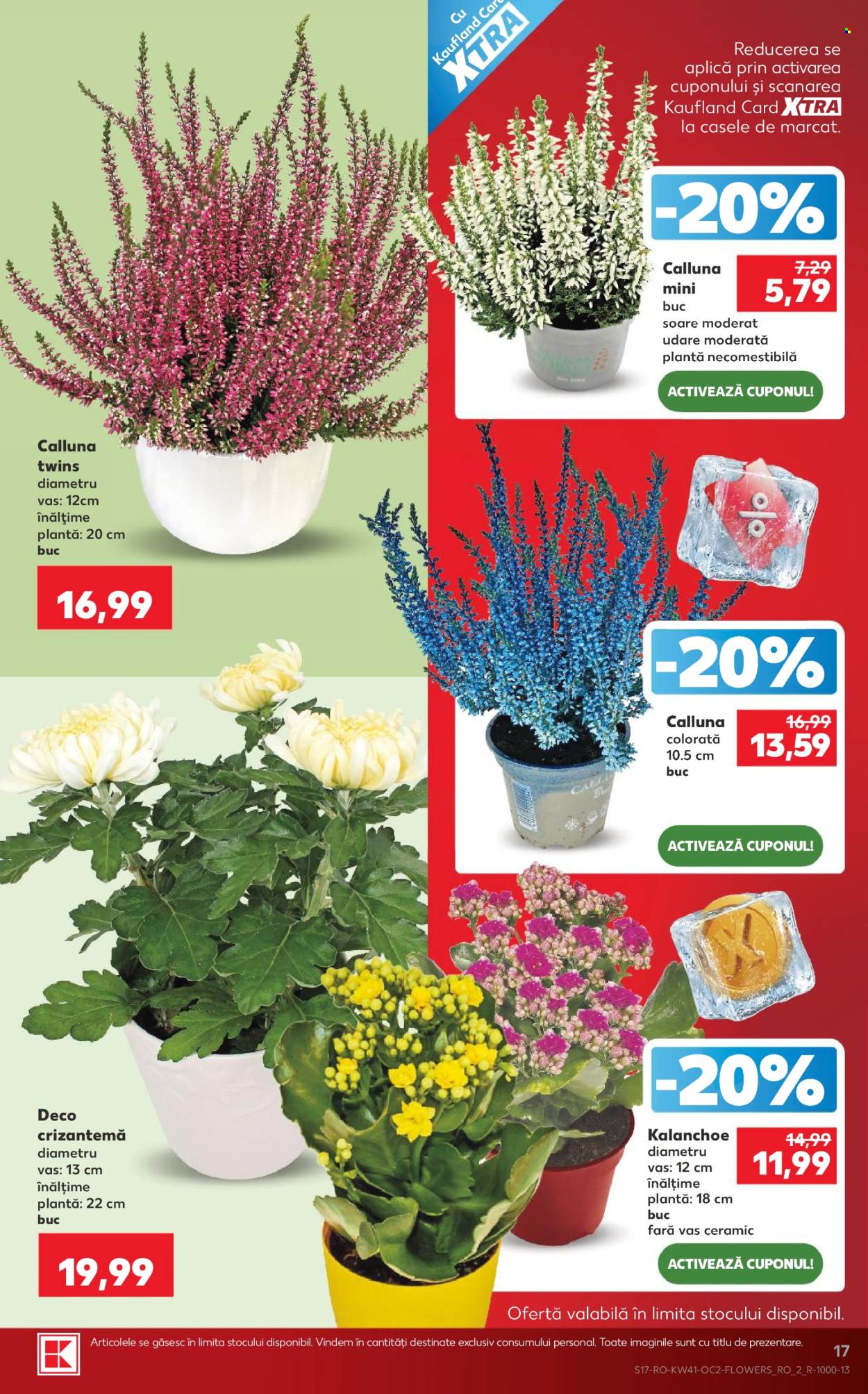 Catalog Kaufland - 07.10.2026 - 13.10.2026. Pagina 17
