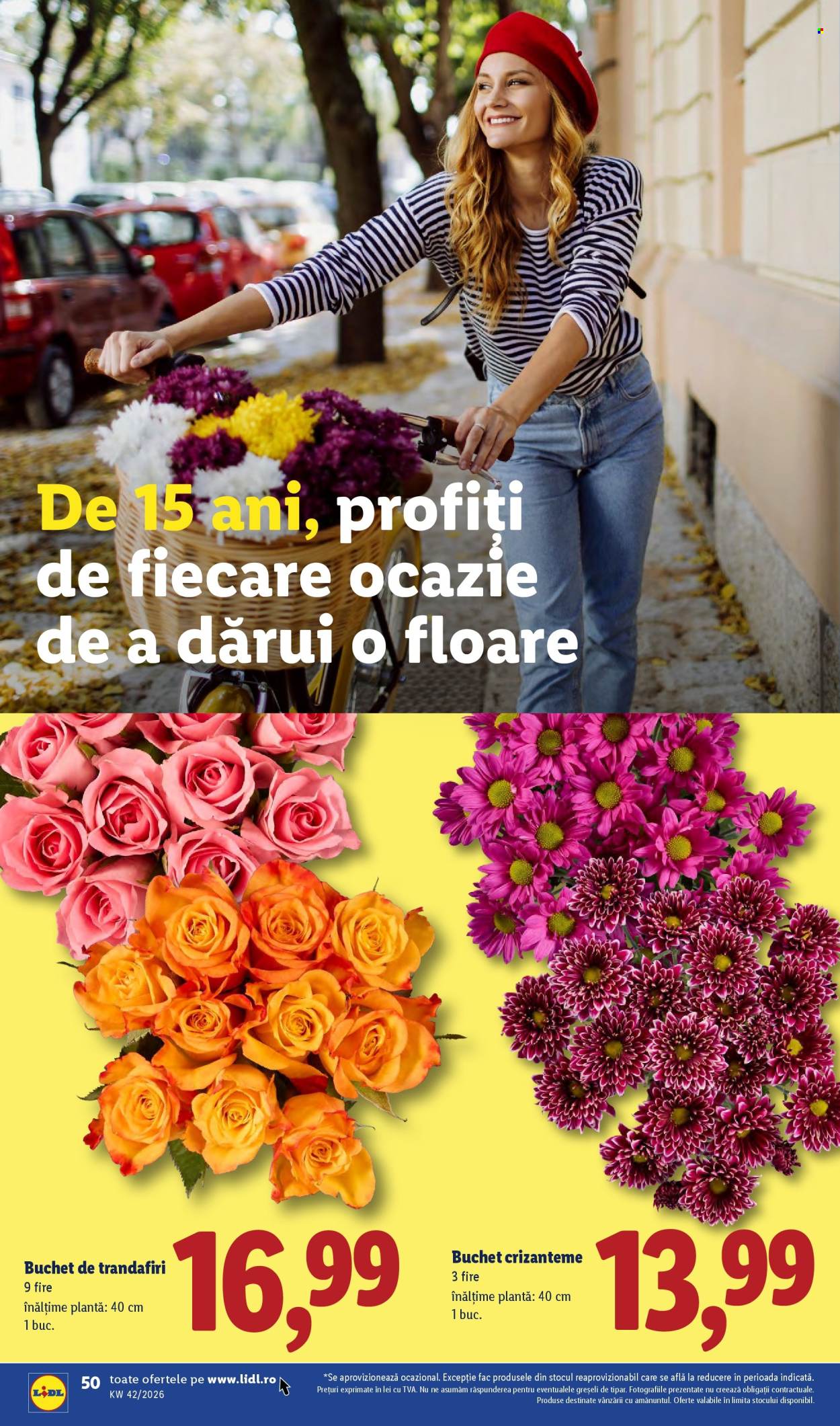 Catalog Lidl - 12.10.2026 - 18.10.2026. Pagina 50