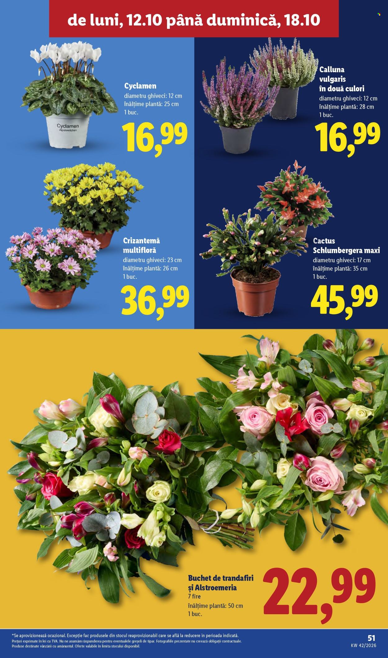Catalog Lidl - 12.10.2026 - 18.10.2026. Pagina 51