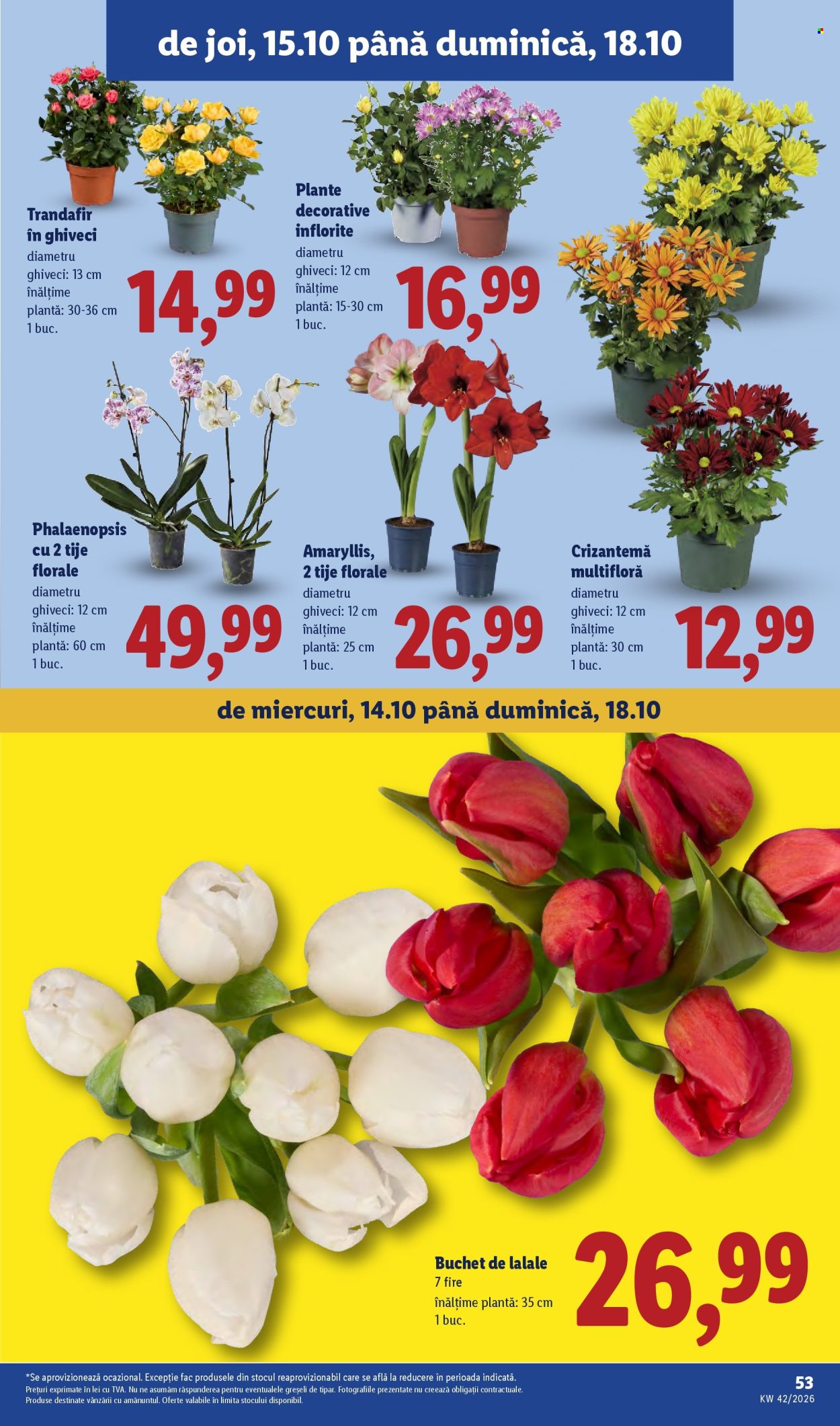 Catalog Lidl - 12.10.2026 - 18.10.2026. Pagina 53